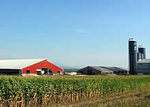 Search Dairy Farms For Sale
