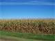 181 Highly Productive Acres in Southern Wisconsin
