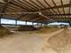 Fully Operational Turn-Key Dairy with Management and Milk Contract Photo 17