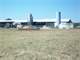 330 Acre Dairy Farm with 4 2 Bath Home in Northeast Texas Camp County