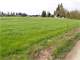 Mid-Willamette Valley Oregon Dairy with High Quality Soils Photo 15