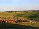600 Cow 672 Acre Grazing Dairy or Beef Operation