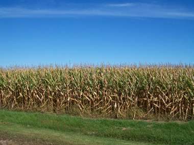 Listing: 75430, Richland Center, WI