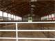 Western Marathon County Dairy Showplace- 300 Cow Freestall Farm Photo 5