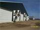 600 Cow Dairy in Clark County Photo 10