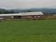 Chehalis Lewis County WA Farms and Ranches for Sale - 81.26 Acres