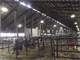 Expandable 750-800 Cow Dairy Plato MN