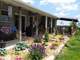 Goat Dairy Acres Great Income Just Bring Your Goats