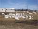 Goat Dairy and Creamery for Sale