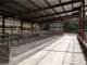 May Offer with Less Acreage- State the Art Dairy Facilities 2 Homes 3 Wells