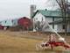 Operating Amish Dairy in Taylor County