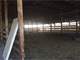 Rebuild-Able Starter Dairy or Equine Facilities