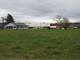 Turnkey Organic Dairy Operation in Washington