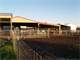 Willamette Valley Organic Grazing Dairy
