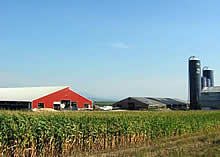 Refine DairyRealty.com Search, Dairy Farms Listings & Properties For ...