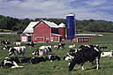 Search Dairy Farms Nationwide
