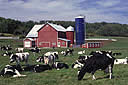 Refine DairyRealty.com Search, Dairy Farms Listings & Properties For ...