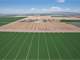 Arizona Dairy Located in Great Feed Area Photo 8