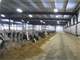 1500 Cow Show Place Complete Dairy Minnesota Photo 11