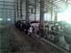 Operating 200 Cow Dairy in the Little House ON the Prairie Neighborhood SD Photo 7