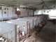 Very Expandable Dairy in Juneau County Photo 18