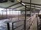 Very Expandable Dairy in Juneau County Photo 5