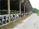 240 Acres 400 Cow Dairy Dane County Photo 10