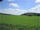 240 Acres 400 Cow Dairy Dane County Photo 19