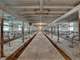 Acre Dairy Farm Portage WI Photo 7