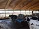 Dairy Heifer Facility for Sale Photo 5