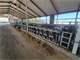 Turn Key Dairy in Centeral Wisconsin Photo 11