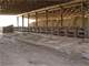 Operating 500 Cow Dairy for Sale or Lease-Blackshear GA Photo 2