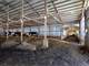 105 Acre Dairy Farm Marathon County WI Photo 7