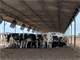 Large Efficient Dairy Located in a Great Year Round Feed Area Photo 8