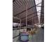 Very Productive Central Wisconsin Robot Dairy Photo 10
