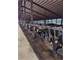 Very Productive Central Wisconsin Robot Dairy Photo 15