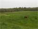 Marshfield Area Wood County Farm ON 39.44 Acres Photo 13