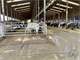 Spacious and Efficient Turn-Key 1500-Cow Willamette Valley Organic Dairy Photo 10