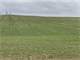 658 Acres Cropland-Turn Key Dairy Farm-Cattle Farms-Homes-Building Sites Photo 19
