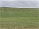 658 Acres Cropland-Turn Key Dairy Farm-Cattle Farms-Homes-Building Sites Photo 19