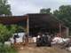 Organic Grass-Fed Dairy and Beef Farm Photo 18