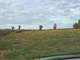 Organic Grass-Fed Dairy and Beef Farm Photo 8