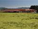 Large Oregon Organic Dairy with Plentiful Grass with Herd Included Photo 2