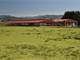 970 Acre Organic Dairy - Organic West Producer - Myrtle Point Oregon Photo 2