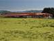 Large Oregon Organic Dairy with Plentiful Grass and Pivot Irrigation Photo 2