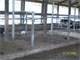 800 Cow Dairy with Land Photo 6