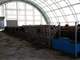 153 Acre Organic Dairy Farm Beef Horses Cropsare Other Options Photo 4