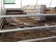 153 Acre Organic Dairy Farm Beef Horses Cropsare Other Options Photo 6