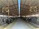Celtic Dairy 3000 Hd. Dairy Facility Photo 10
