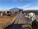 Celtic Dairy 3000 Hd. Dairy Facility Photo 8